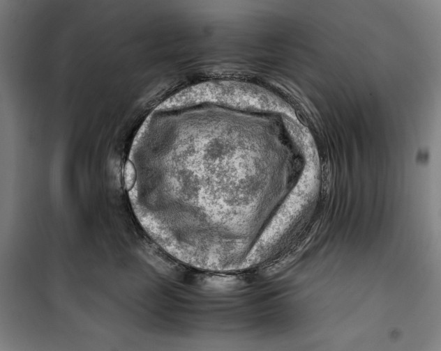 X0000099530669200806061433