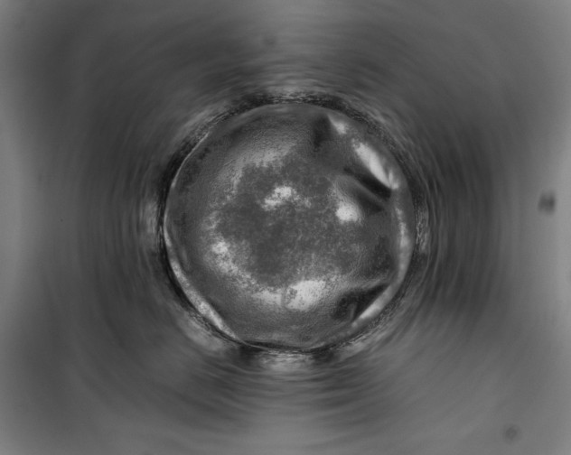 X0000099530670200806061433