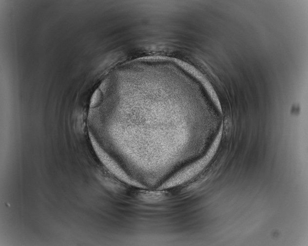 X0000099530671200806061433