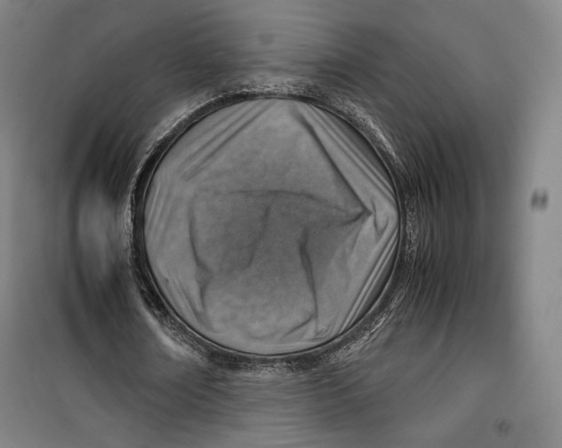 X0000099530674200806061432