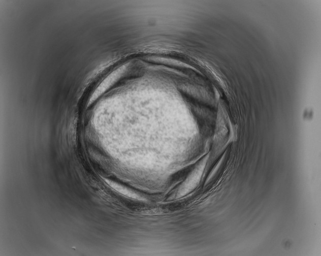 X0000099530675200806061432