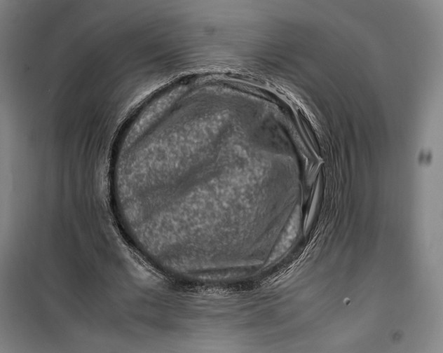 X0000099530677200806061432