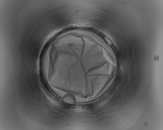 X0000099530678200806061432