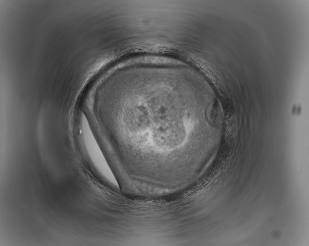 X0000099530679200806061432