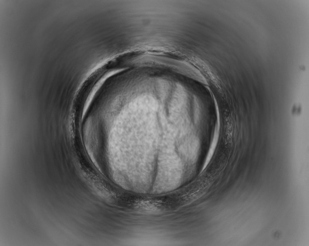 X0000099530680200806061432