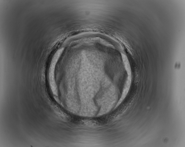 X0000099530681200806061432