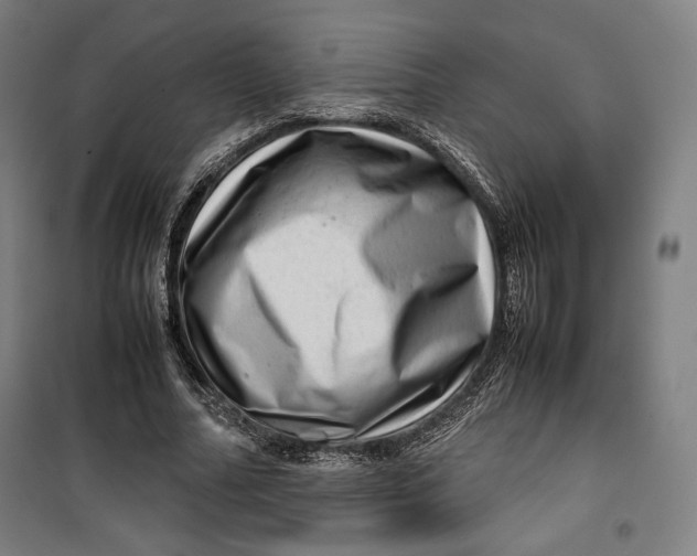 X0000099530682200806061432