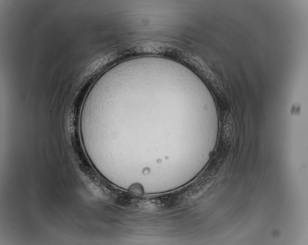 X0000099530683200806061432