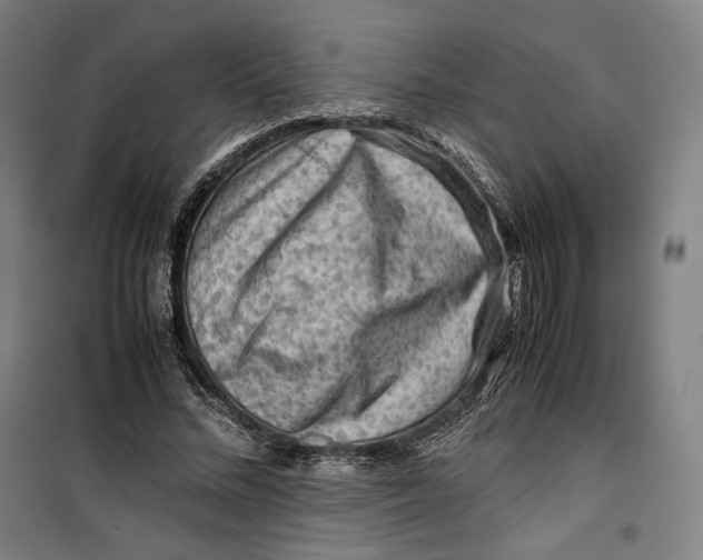 X0000099530684200806061432