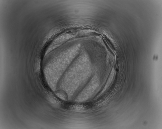 X0000099530685200806061432