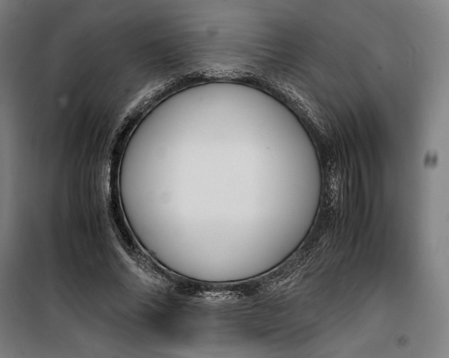 X0000099530686200806061432