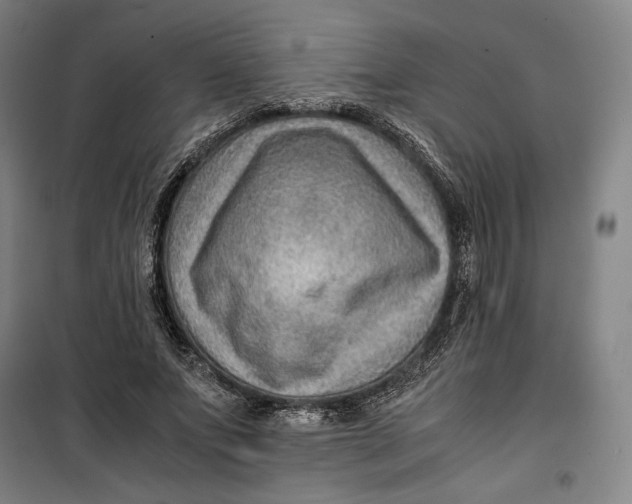 X0000099530687200806061432