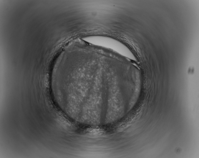 X0000099530689200806061432