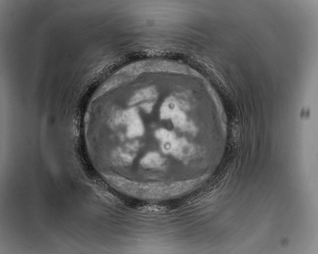 X0000099530691200806061432