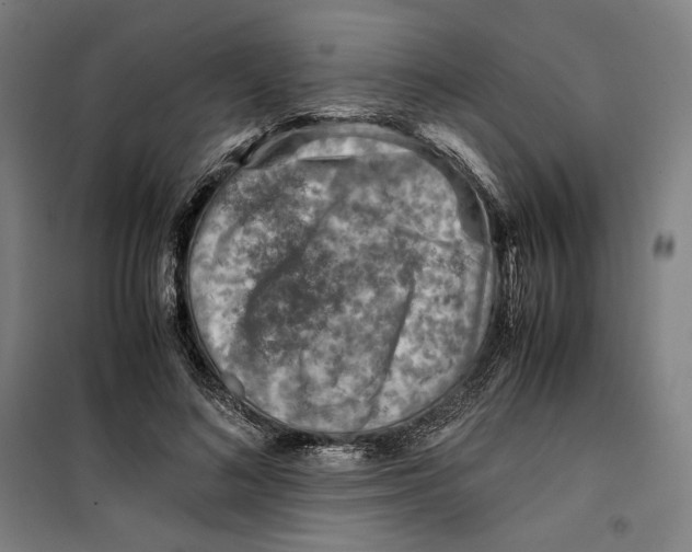 X0000099530692200806061432