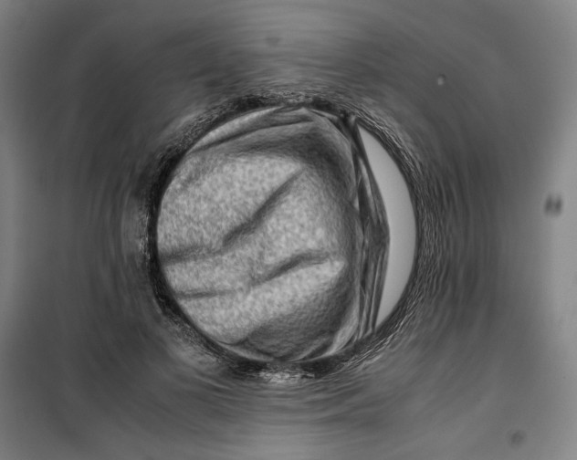 X0000099530693200806061432