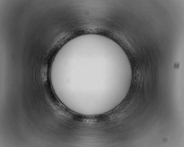 X0000099530694200806061432