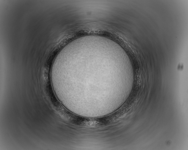 X0000099530695200806061432