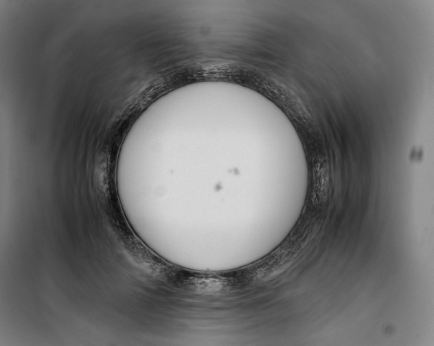 X0000099530698200806061432