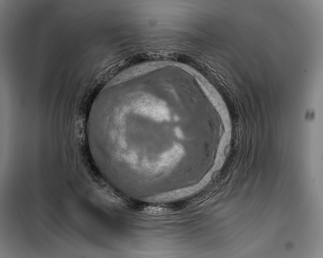 X0000099530699200806061432