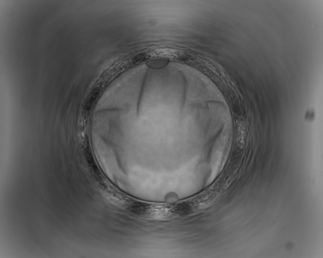 X0000099530701200806061432