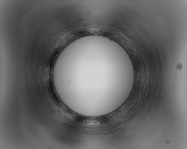 X0000099530702200806061432