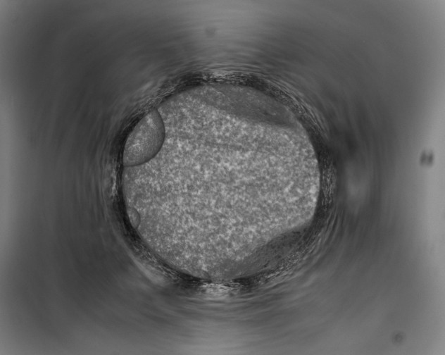 X0000099530703200806061432