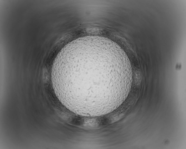 X0000099530705200806061432