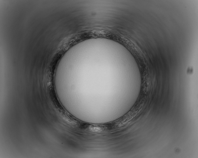 X0000099530706200806061432