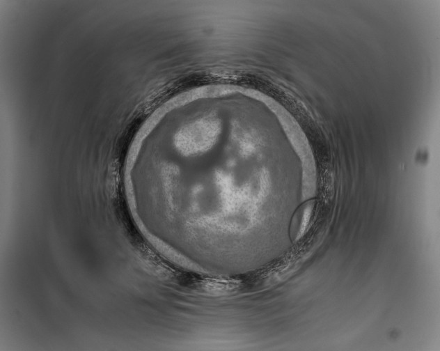 X0000099530707200806061432