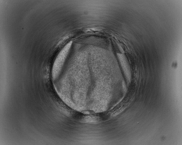 X0000099530708200806061432