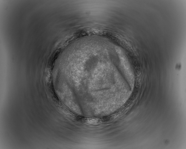 X0000099530709200806061432