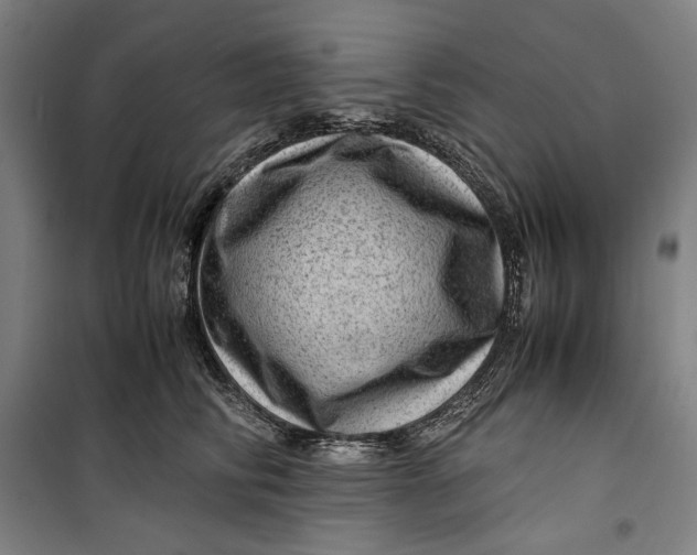 X0000099530710200806061431