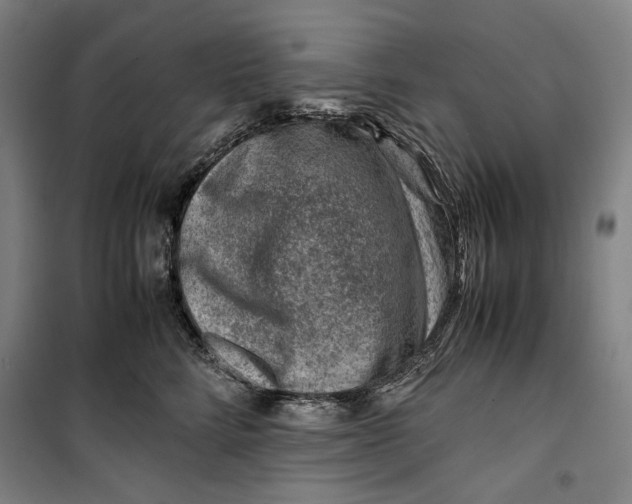 X0000099530712200806061431