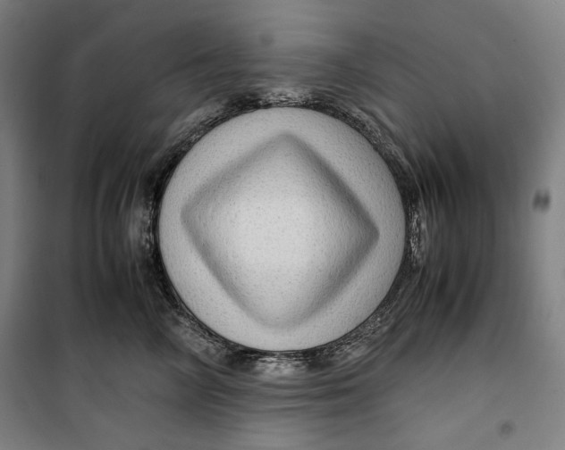 X0000099530714200806061431