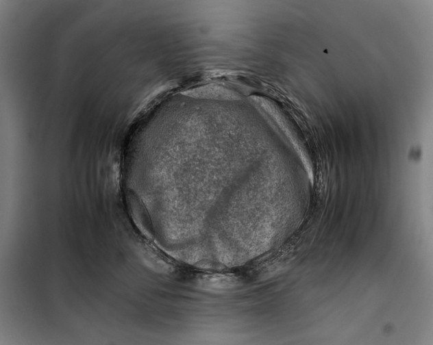 X0000099530716200806061431