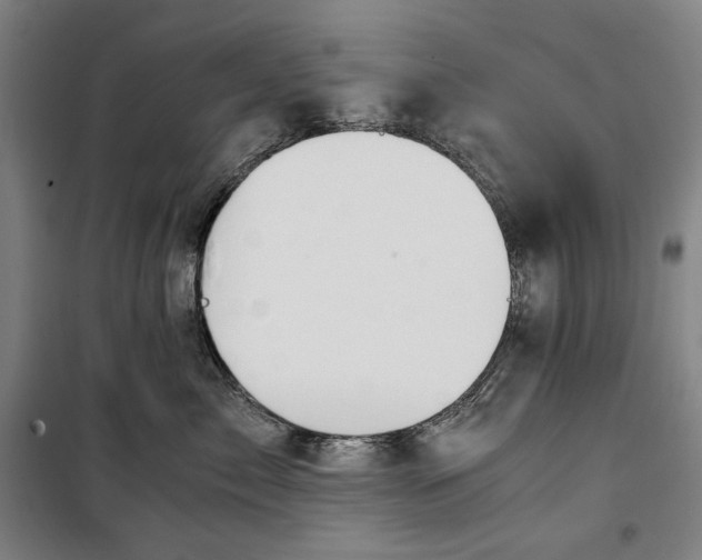 X0000099530717200806061431