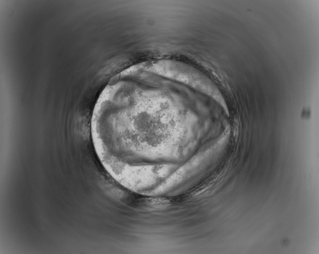 X0000099530719200806061431