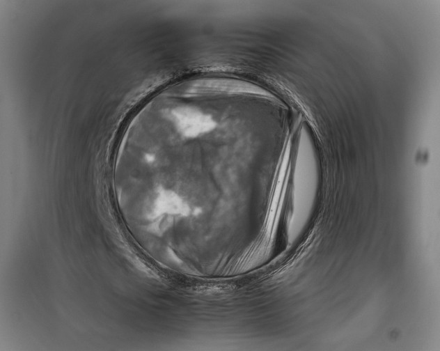 X0000099530721200806061431