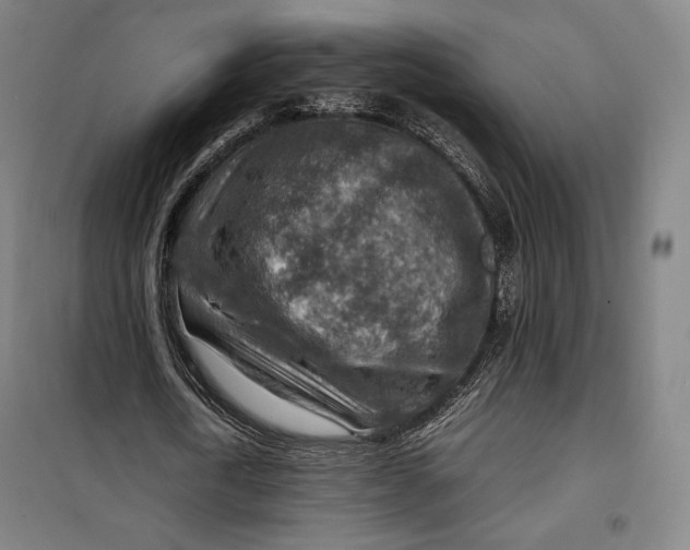 X0000099530722200806061431