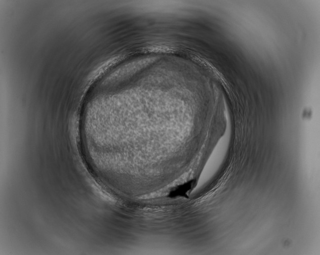 X0000099530725200806061431