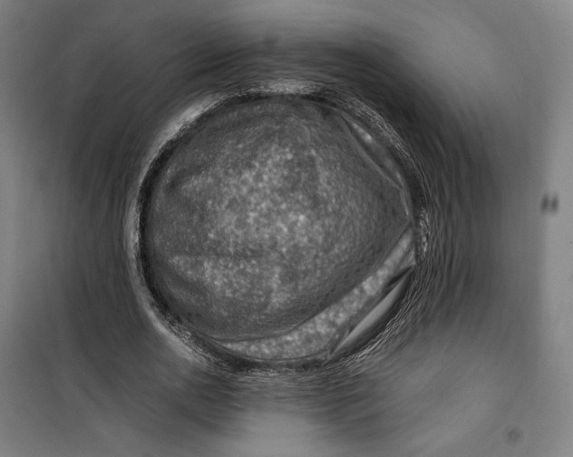 X0000099530726200806061431