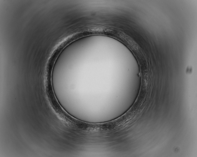 X0000099530728200806061431