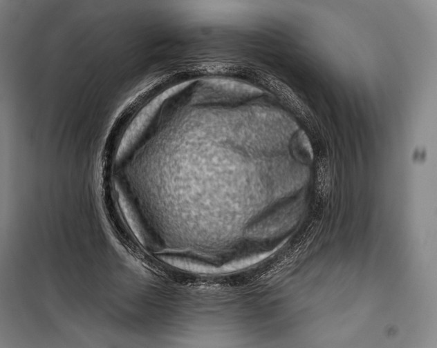 X0000099530730200806061431