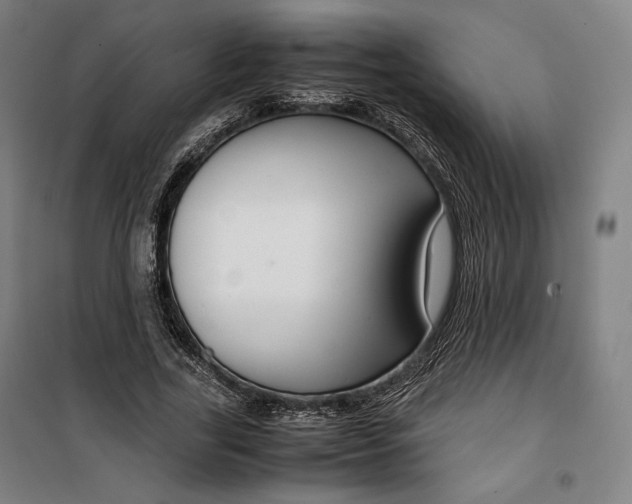 X0000099530731200806061431