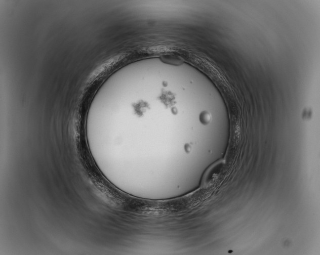 X0000099530732200806061431