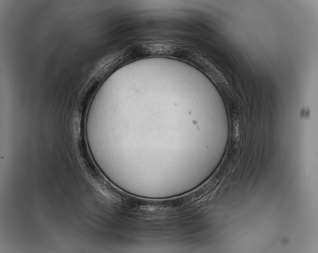 X0000099530733200806061431