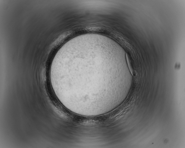 X0000099530734200806061431