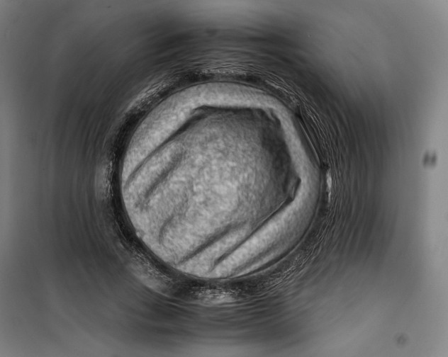 X0000099530735200806061431