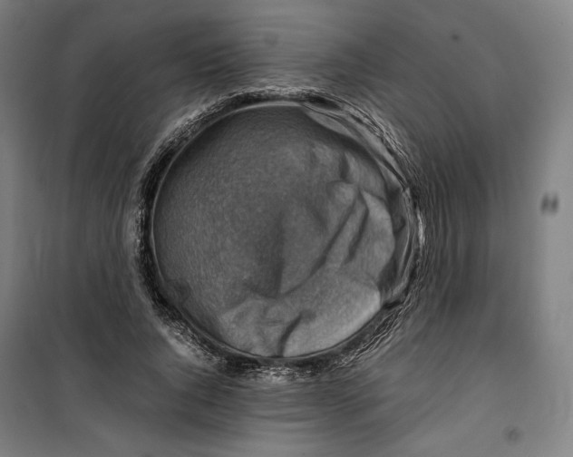 X0000099530736200806061431